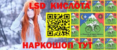 мяу мяу мука Будённовск