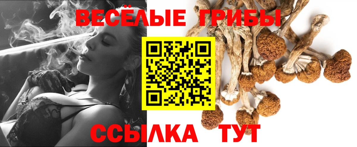 купить наркотик  Псилоцибиновые грибы Psilocybe  Вход с VPN  Псилоцибиновые грибы Magic Shrooms  Ростов Великий 
